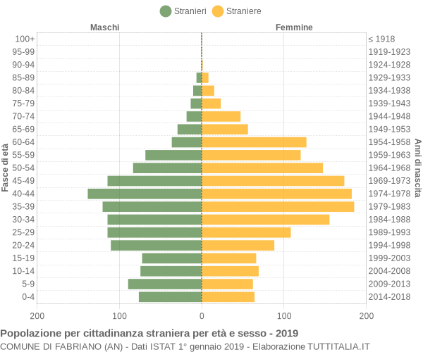 Grafico cittadini stranieri - Fabriano 2019