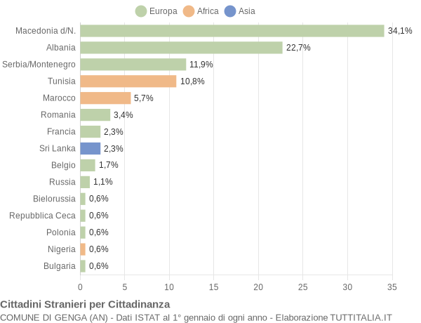 Grafico cittadinanza stranieri - Genga 2004