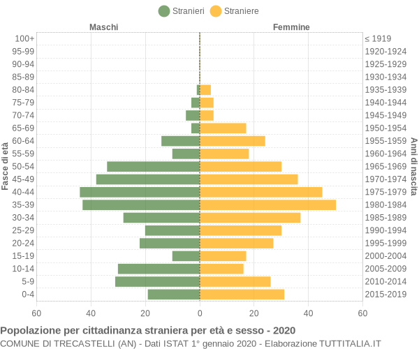 Grafico cittadini stranieri - Trecastelli 2020