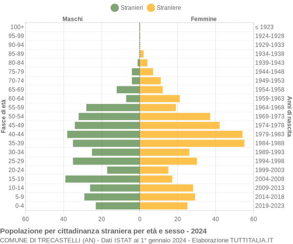 Grafico cittadini stranieri - Trecastelli 2024