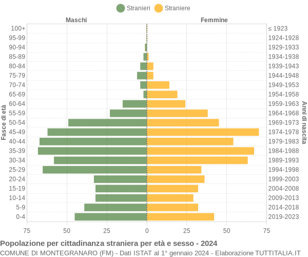 Grafico cittadini stranieri - Montegranaro 2024