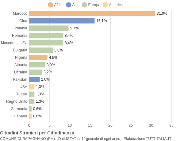 Grafico cittadinanza stranieri - Rapagnano 2008
