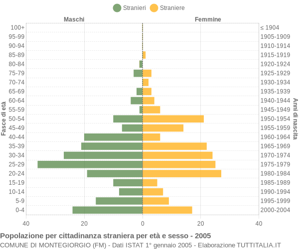Grafico cittadini stranieri - Montegiorgio 2005