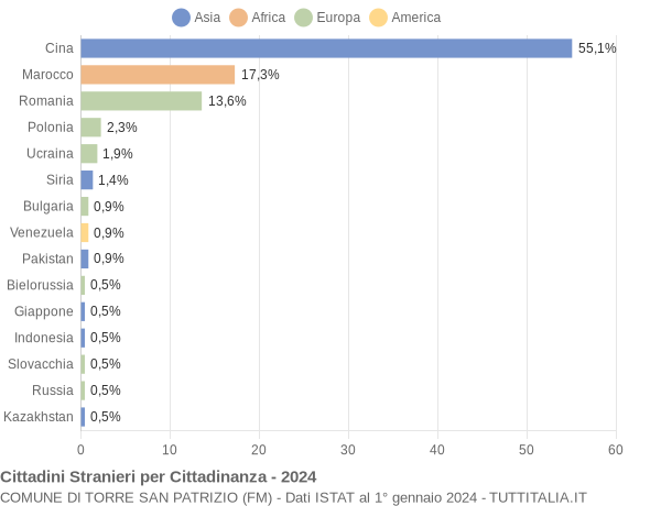 Grafico cittadinanza stranieri - Torre San Patrizio 2024