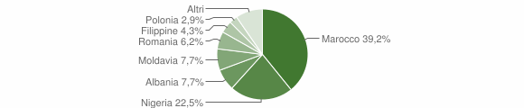 Grafico cittadinanza stranieri - Auditore 2013