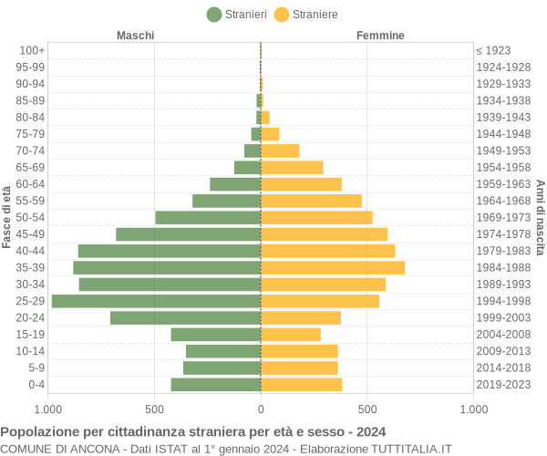 Grafico cittadini stranieri - Ancona 2024