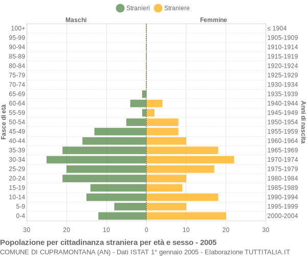 Grafico cittadini stranieri - Cupramontana 2005