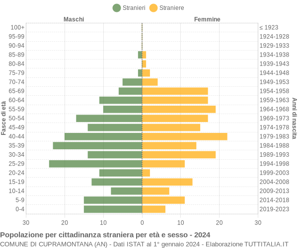 Grafico cittadini stranieri - Cupramontana 2024