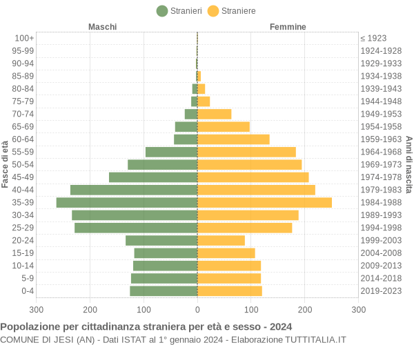 Grafico cittadini stranieri - Jesi 2024