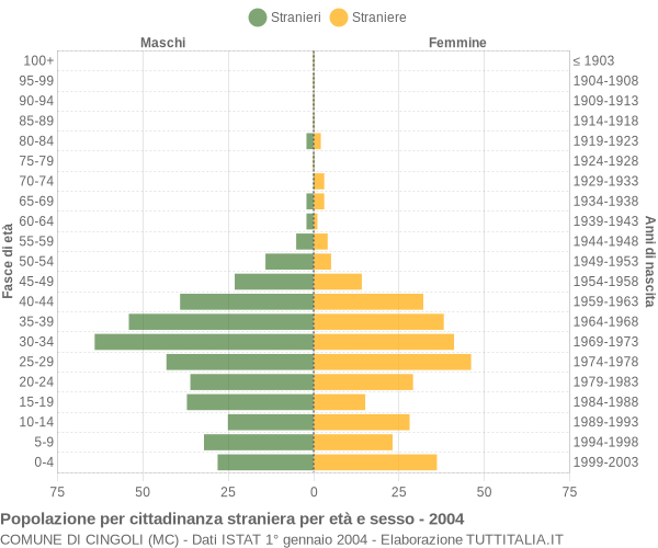 Grafico cittadini stranieri - Cingoli 2004