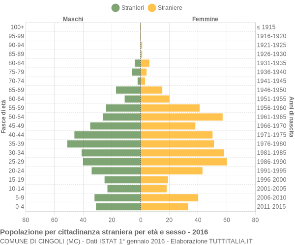 Grafico cittadini stranieri - Cingoli 2016