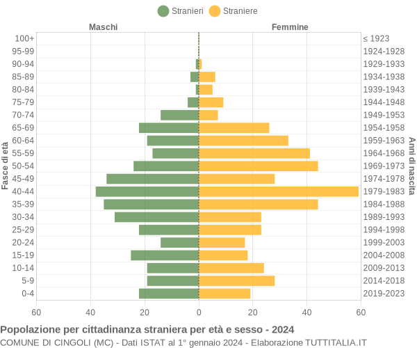 Grafico cittadini stranieri - Cingoli 2024