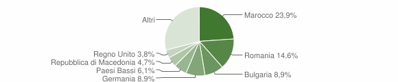 Grafico cittadinanza stranieri - Montefiore dell'Aso 2011