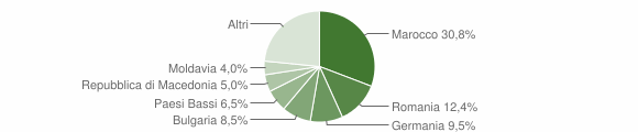 Grafico cittadinanza stranieri - Montefiore dell'Aso 2012