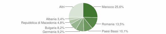 Grafico cittadinanza stranieri - Montefiore dell'Aso 2013