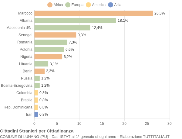 Grafico cittadinanza stranieri - Lunano 2009