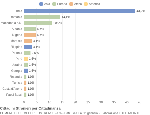 Grafico cittadinanza stranieri - Belvedere Ostrense 2018