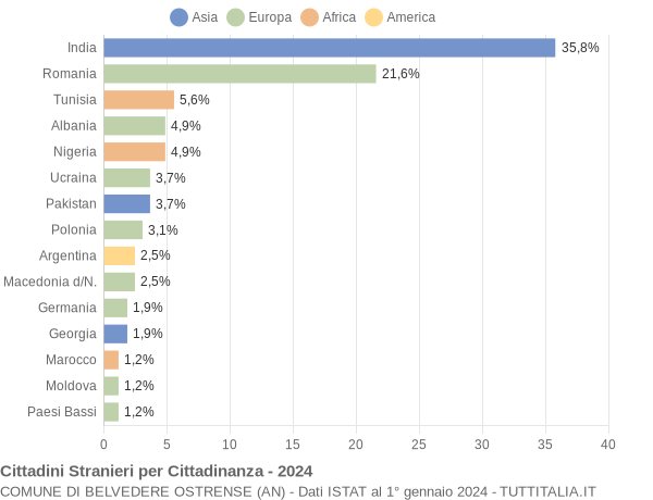 Grafico cittadinanza stranieri - Belvedere Ostrense 2024