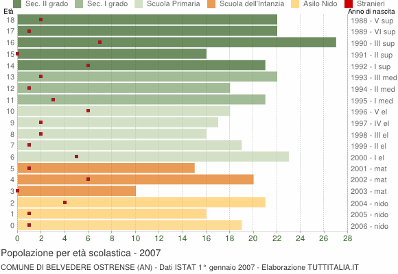 Grafico Popolazione in età scolastica - Belvedere Ostrense 2007