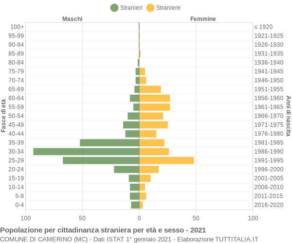 Grafico cittadini stranieri - Camerino 2021