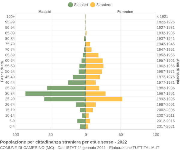 Grafico cittadini stranieri - Camerino 2022