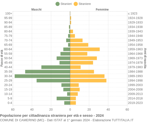 Grafico cittadini stranieri - Camerino 2024