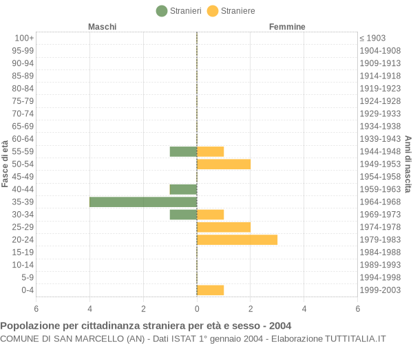 Grafico cittadini stranieri - San Marcello 2004