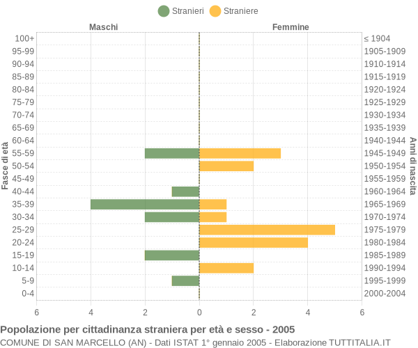 Grafico cittadini stranieri - San Marcello 2005