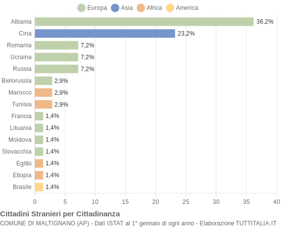 Grafico cittadinanza stranieri - Maltignano 2005