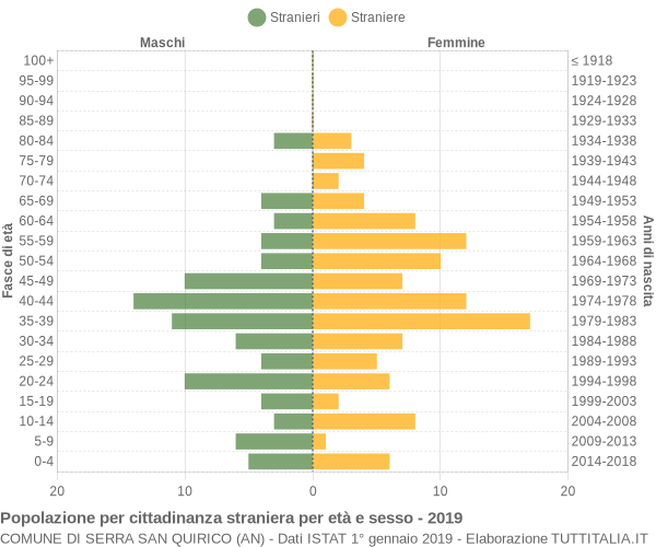 Grafico cittadini stranieri - Serra San Quirico 2019