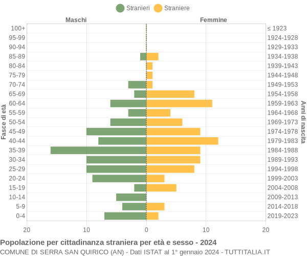 Grafico cittadini stranieri - Serra San Quirico 2024