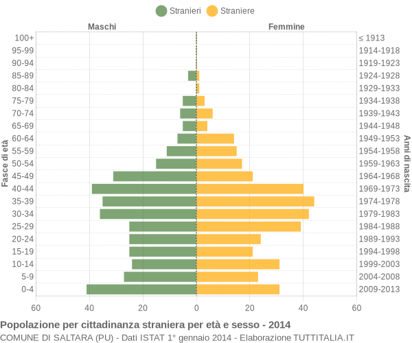 Grafico cittadini stranieri - Saltara 2014