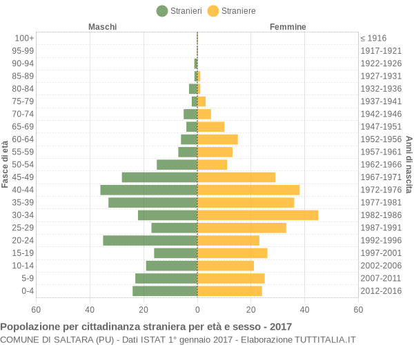 Grafico cittadini stranieri - Saltara 2017