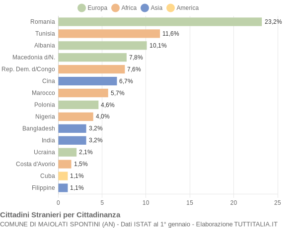 Grafico cittadinanza stranieri - Maiolati Spontini 2009