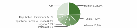 Grafico cittadinanza stranieri - Monsano 2011