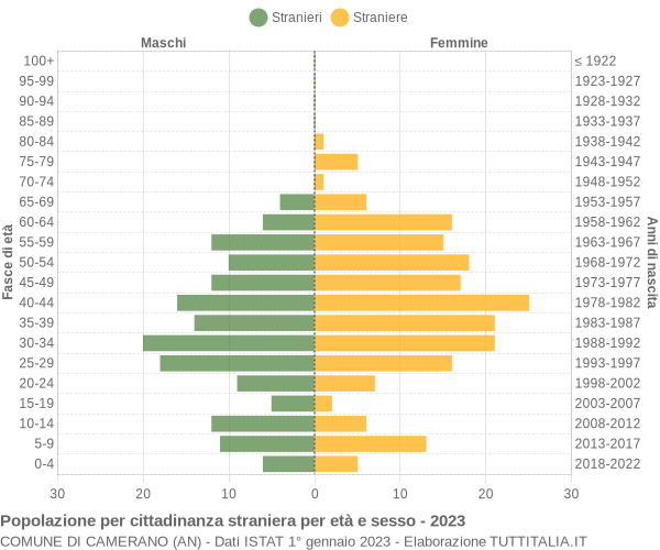 Grafico cittadini stranieri - Camerano 2023