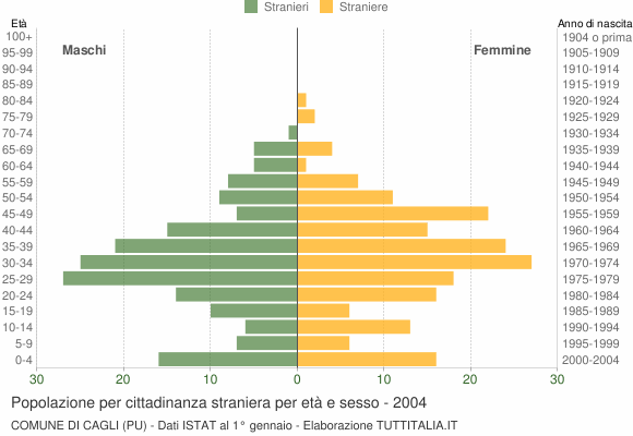 Grafico cittadini stranieri - Cagli 2004