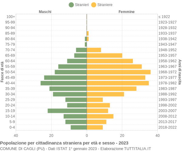 Grafico cittadini stranieri - Cagli 2023