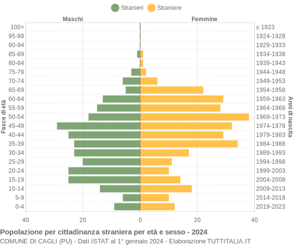 Grafico cittadini stranieri - Cagli 2024