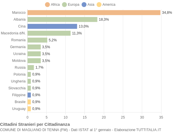 Grafico cittadinanza stranieri - Magliano di Tenna 2005