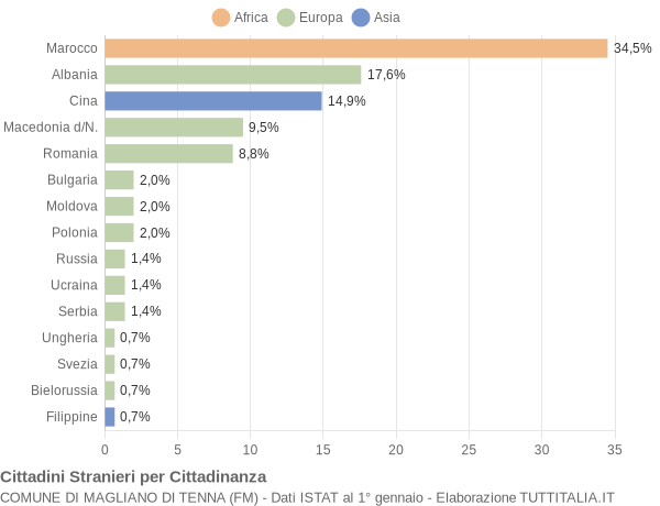 Grafico cittadinanza stranieri - Magliano di Tenna 2009