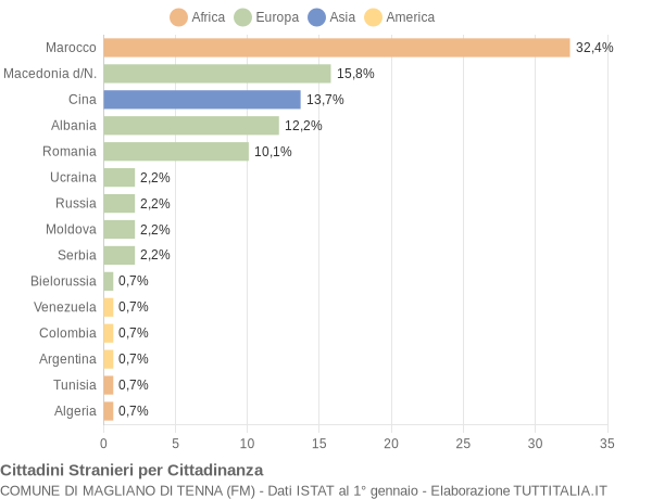 Grafico cittadinanza stranieri - Magliano di Tenna 2010