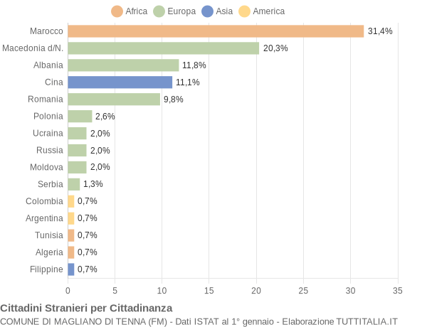 Grafico cittadinanza stranieri - Magliano di Tenna 2011