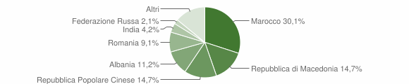 Grafico cittadinanza stranieri - Magliano di Tenna 2013