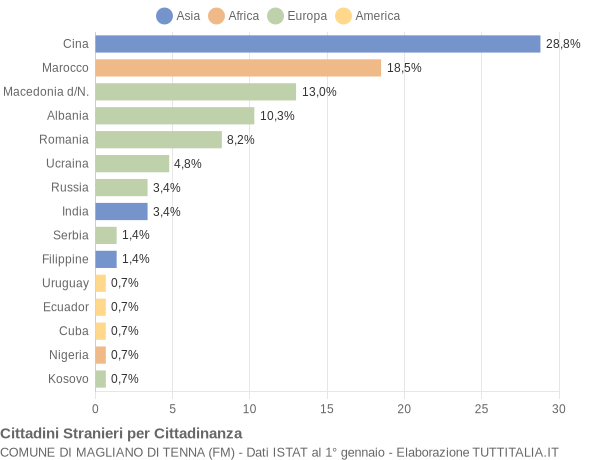 Grafico cittadinanza stranieri - Magliano di Tenna 2016