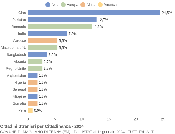 Grafico cittadinanza stranieri - Magliano di Tenna 2024