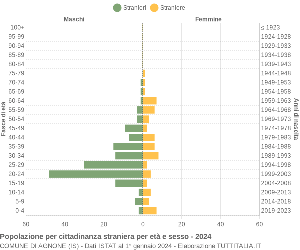 Grafico cittadini stranieri - Agnone 2024