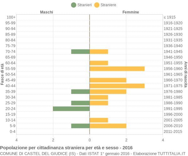 Grafico cittadini stranieri - Castel del Giudice 2016