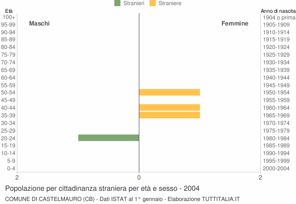 Grafico cittadini stranieri - Castelmauro 2004
