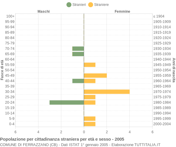 Grafico cittadini stranieri - Ferrazzano 2005